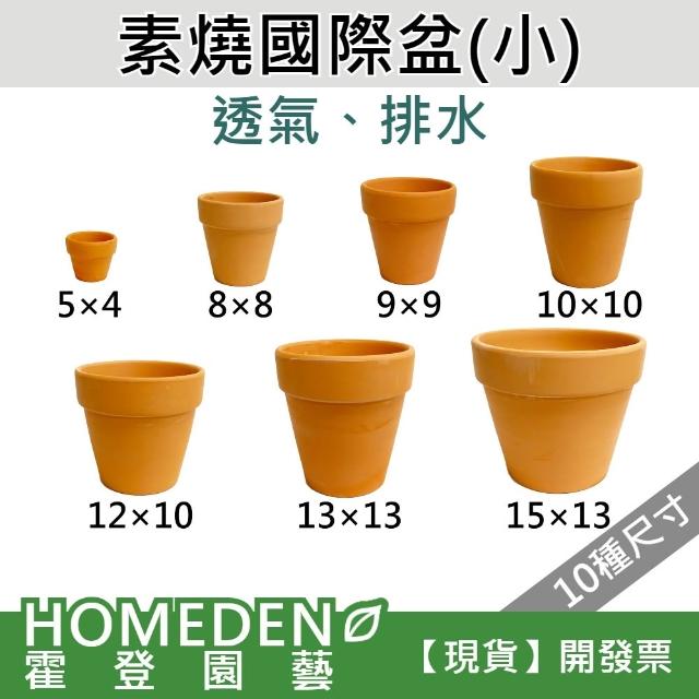 素燒國際盆(小) 紅瓦盆 紅土盆 透氣盆 有孔 紅陶盆 素陶盆 多肉盆 花盆 花器【HOMEDEN霍登園藝】