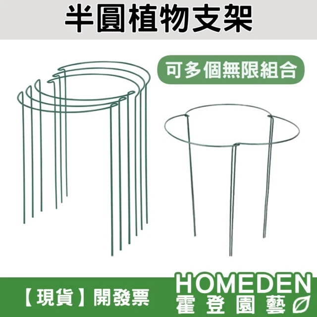 半圓植物支架 植物支架 花支架 葉支架 爬藤架 蘭花支架 園藝支撐桿 花園圍籬【HOMEDEN霍登園藝】