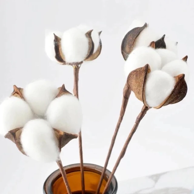 【永生花】帶柄木棉花｜棉花 花束 乾燥花 永生花 乾燥花花束 拍照道具背景 店內裝飾 生日禮物情人節禮物 居家佈置