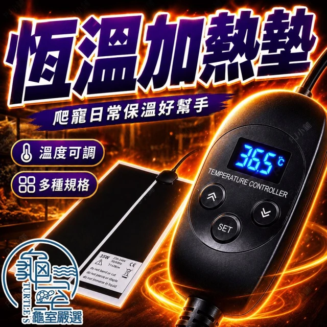 龜室 智能恆溫加熱墊 爬蟲加熱墊 爬蟲加溫墊 加熱墊 加溫墊 恆溫加熱墊 變色龍 蜥蜴 烏龜 倉鼠 守宮 角蛙 蛇