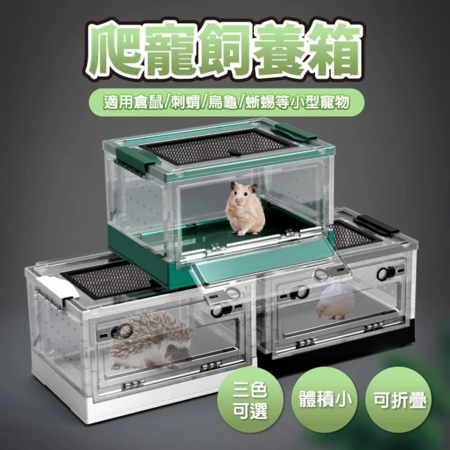 龜室｜寵物飼養箱 壓克力整理箱 倉鼠 守宮 蜥蜴爬寵蛇角蛙鬆獅蜥可折疊飼養箱爬蟲箱倉鼠籠子透明飼養盒透明箱
