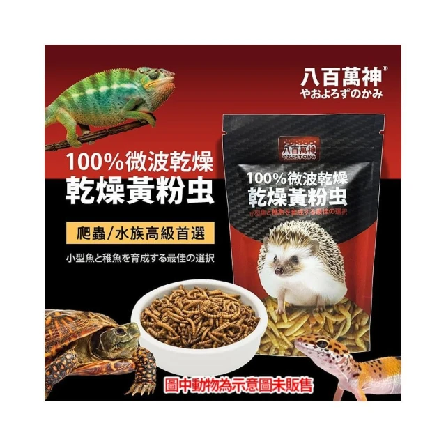 龜室｜麵包蟲乾 烏龜水龜飼料 爬蟲寵物零食 南極蝦 南極蝦乾 豐年蝦 紅蟲 高蛋白 水族龍魚柯爾鴨