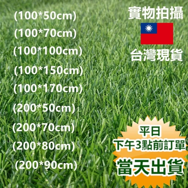 超仿真特密人工草皮 人造草皮  寶來小舖