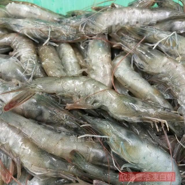 【蝦鮮生蟹小姐】活凍白蝦  (小)  一盒600克裝