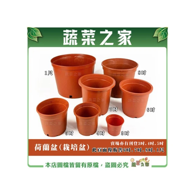 【蔬菜之家】荷蘭盆栽培盆6吋.7吋.8吋.1尺※賣場另有其他尺寸※紅盆 種植盆 花盆 栽植盆 塑膠花盆 育苗