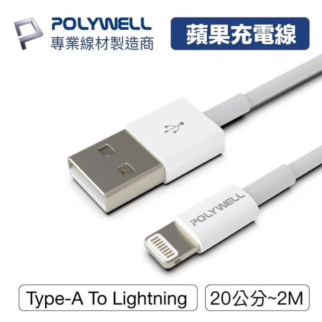 Type-A To Lightning 公對公 20公分 (適用蘋果iPhone) 